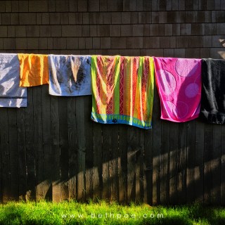 JUN 4 :&nbsp;155/365