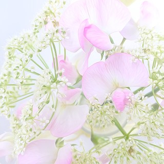 JUN 6 :&nbsp;157/365