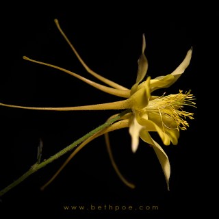 JUN 7 :&nbsp;158/365