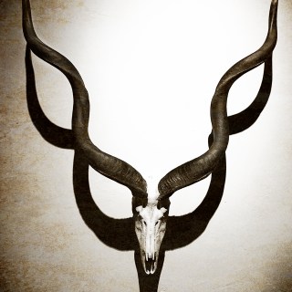 JUN 13 :&nbsp;164/365