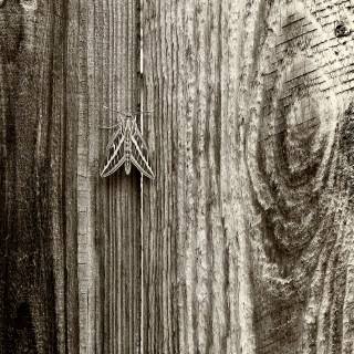 JUN 16 :&nbsp;167/365