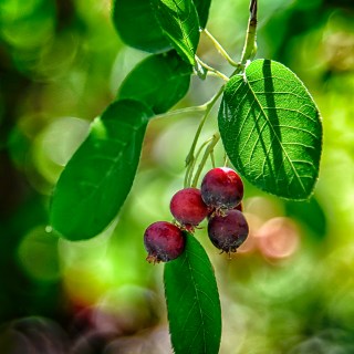 JUN 18 :&nbsp;169/365