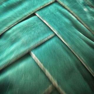 JUN 20 :&nbsp;171/365