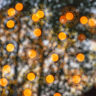 JUN 21 :&nbsp;172/365