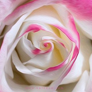 JUN 25 :&nbsp;176/365