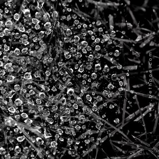 JUN 29 :&nbsp;180/365