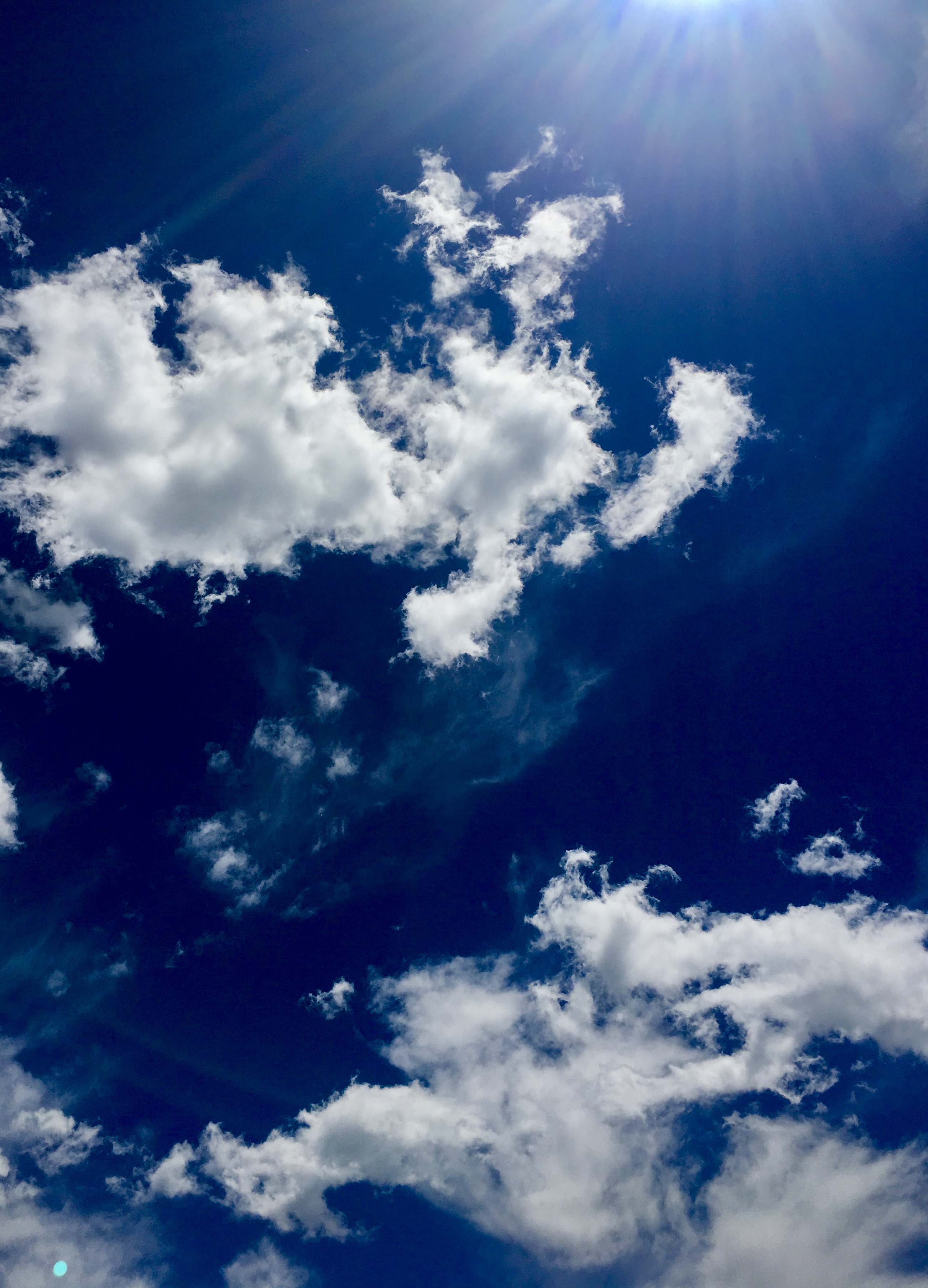 5AEE8564-12CC-45A4-8A59-39B5F5ED2978