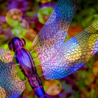 JUL 3 :&nbsp;184/365