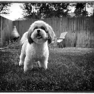 JUL 6 :&nbsp;187/365