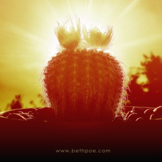 JUL 10 :&nbsp;191/365