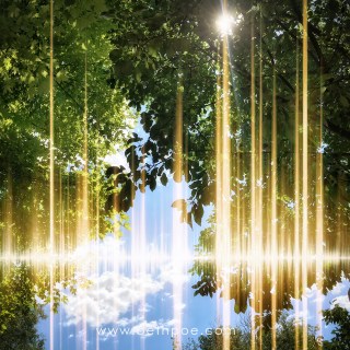 JUL 11 :&nbsp;192/365