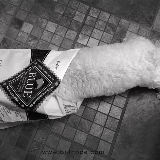 JUL 12 :&nbsp;193/365