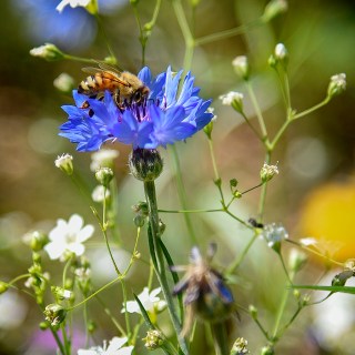 JUL 18 :&nbsp;199/365