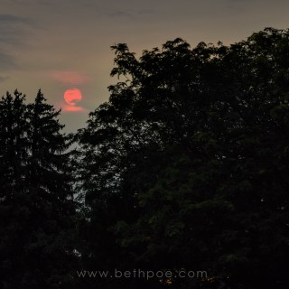 JUL 21 :&nbsp;202/365