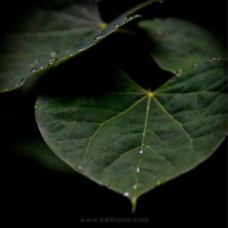 JUL 23 :&nbsp;204/365