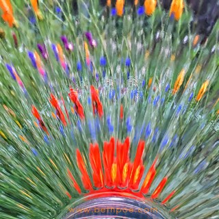 JUL 30 :&nbsp;211/365