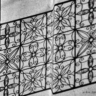 AUG 8 :&nbsp;220/365