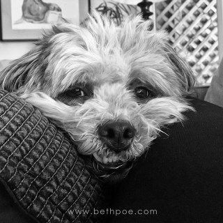 AUG 10 :&nbsp;222/365