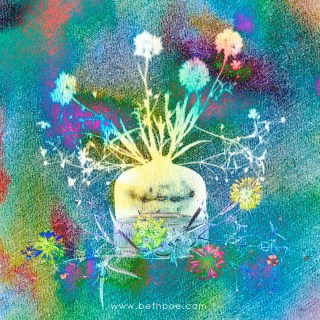 AUG 12 :&nbsp;224/365