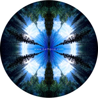 AUG 27 :&nbsp;239/365