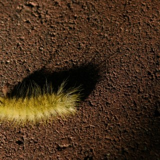 AUG 28 :&nbsp;240/365