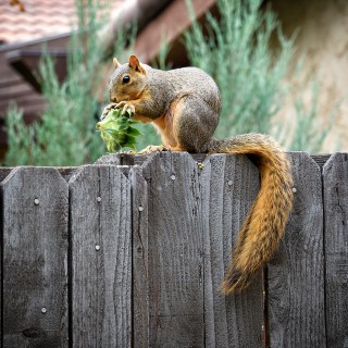 SEP 3 :&nbsp;246/365