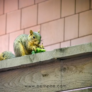 SEP 4 :&nbsp;247/365