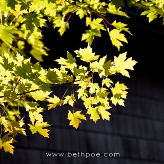 SEP 7 :&nbsp;250/365