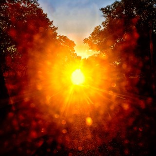 SEP 17 :&nbsp;260/365