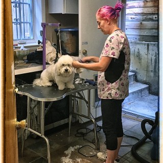 SEP 19 :&nbsp;262/365