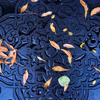 SEP 20 :&nbsp;263/365