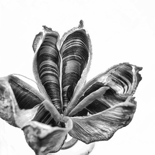 SEP 21 :&nbsp;264/365