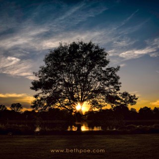 SEP 27 :&nbsp;270/365