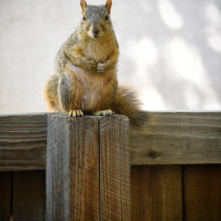 SEP 30 :&nbsp;273/365