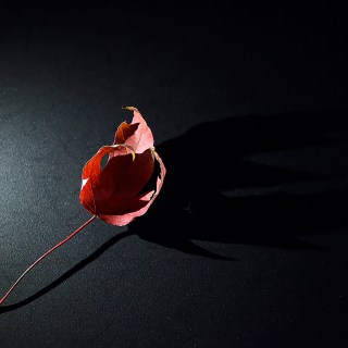 OCT 1 :&nbsp;274/365