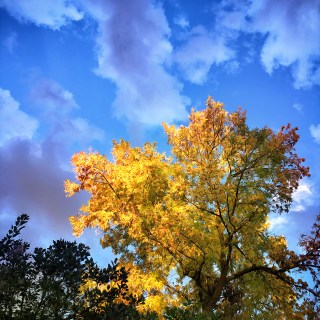 OCT 3 :&nbsp;276/365