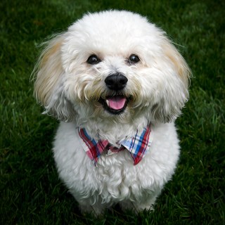 OCT 4 :&nbsp;277/365