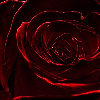 OCT 5 :&nbsp;278/365