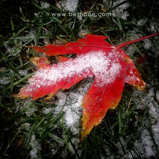 OCT 10 :&nbsp;283/365