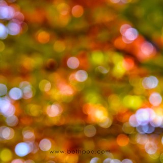 OCT 11 :&nbsp;284/365