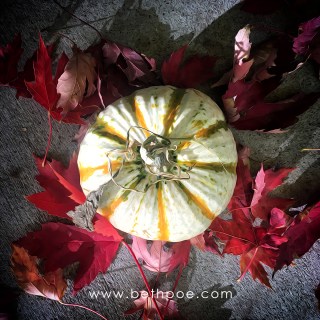 OCT 12 :&nbsp;285/365