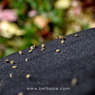 OCT 28 :&nbsp;301/365