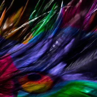 DEC 6 :&nbsp;340/365